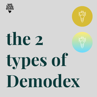 Demodex Folliculorum vs. Demodex Brevis: The Hidden Reason Behind Eyelash Loss & Dry Eyes