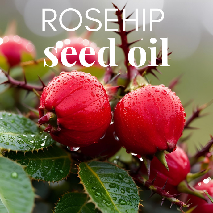 Enhance Eyelid Skin with ROSEHIP SEED OIL: Why This Optometrist Loves ROSEHIP SEED OIL