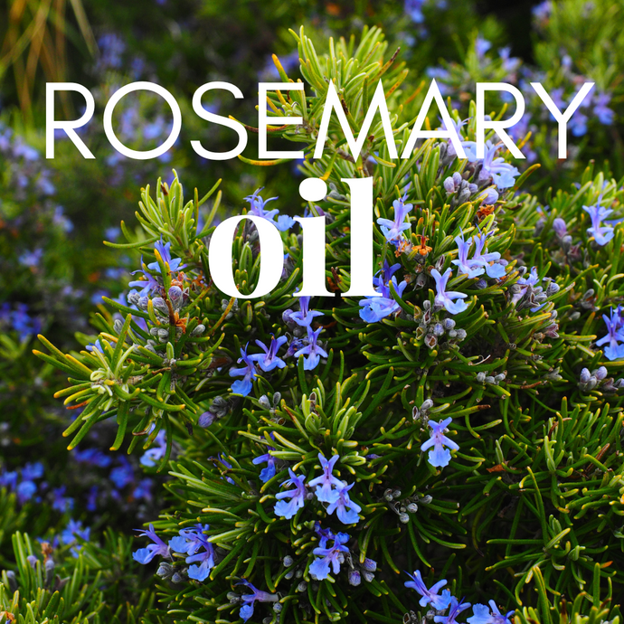 Why Use Rosemary Cleansing Oil by We Love Eyes to Clean Your Eyelids & Eyelashes?
