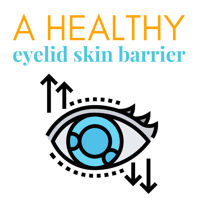 How a Healthy Eyelid Skin Barrier Supports Optimal Eye Health: Expert Tips from We Love Eyes